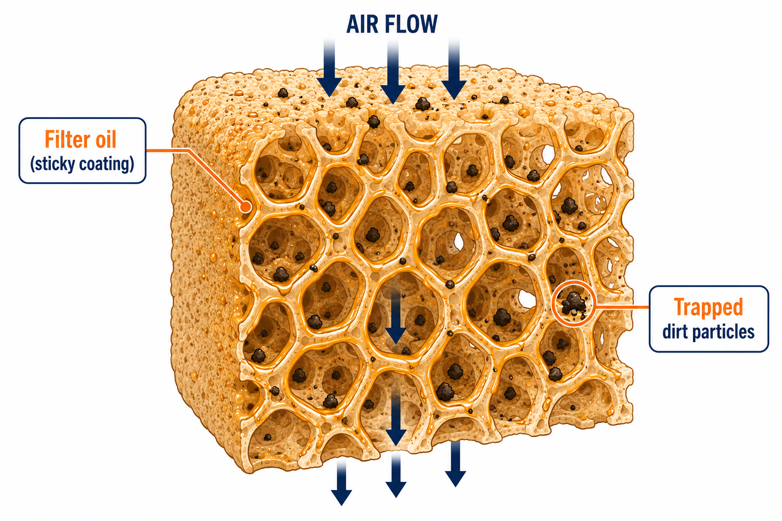 **Alt Text:**  > Microscopic cutaway diagram of a foam air filter element trapping dirt particles with filter oil