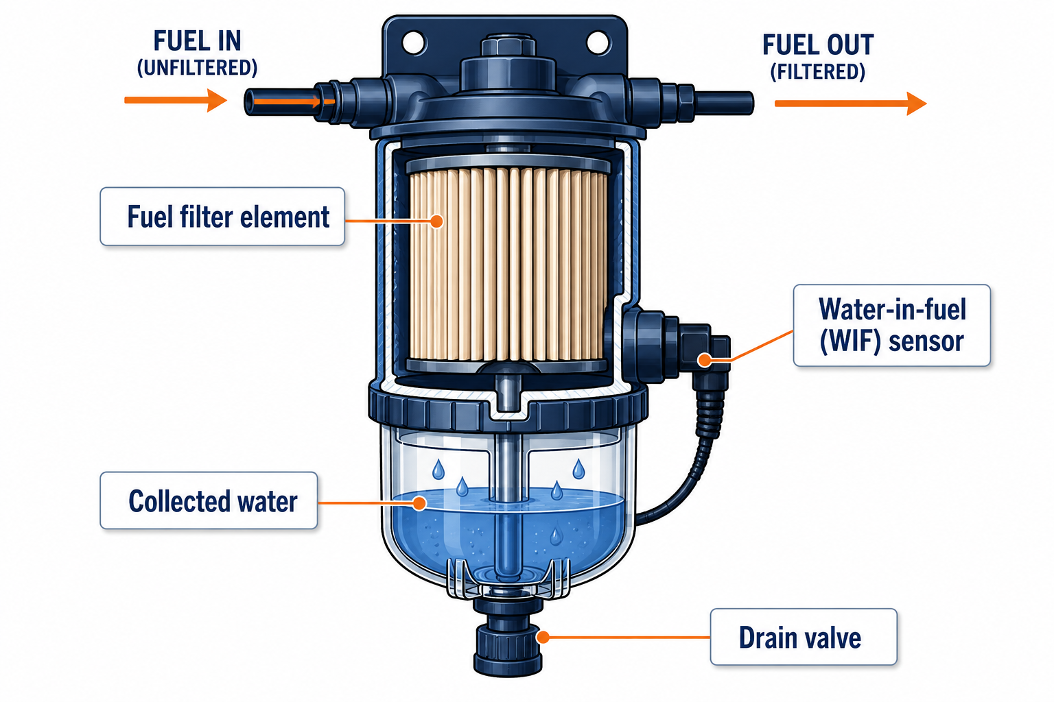 **Alt Text:**  > Cutaway diagram of a fuel water separator showing the filter element, sensor, and drain valve