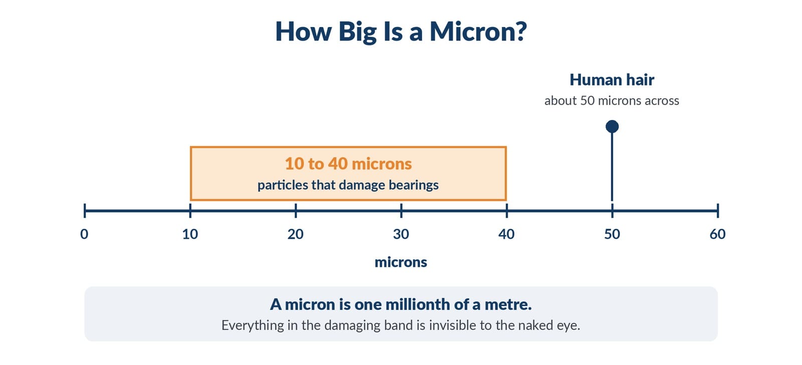 Micron scale comparison bar showing a human hair against the damaging particle range